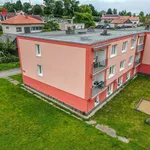 Pronájem bytu 3+1 67m²