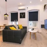 Rent 1 bedroom apartment of 39 m² in Grad Rijeka