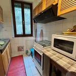 Rent 3 bedroom apartment of 60 m² in Siena