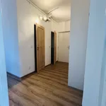 Rent 2 bedroom apartment of 50 m² in Ostrava