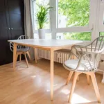 Rent 1 bedroom apartment in dusseldorf