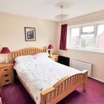 Rent 4 bedroom house in South East England