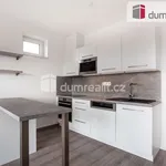 Rent 1 bedroom apartment of 38 m² in Hluboká nad Vltavou