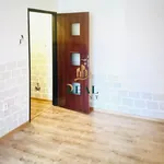 Rent 1 bedroom apartment of 25 m² in Chomutov