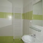 Rent 1 bedroom apartment of 54 m² in Plzeň