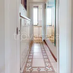 Rent 3 bedroom apartment of 75 m² in Milano