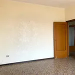 Rent 2 bedroom apartment of 100 m² in catanzaro