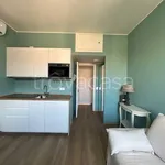 Rent 1 bedroom apartment of 30 m² in Milano