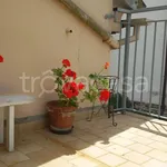 Rent 3 bedroom apartment of 100 m² in Recanati