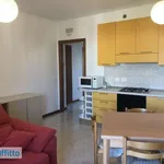 Rent 2 bedroom apartment of 50 m² in Florence