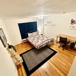 Rent 1 bedroom apartment in Cambridge