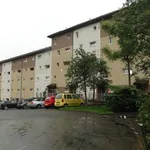 Rent 1 bedroom apartment in Dundee