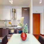 Rent 2 bedroom apartment of 65 m² in Rome