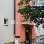 Rent 1 bedroom apartment in Nový Jičín