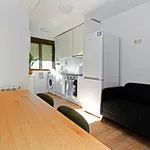 Rent 4 bedroom apartment in Madrid