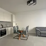 Rent 2 bedroom apartment of 50 m² in Parma