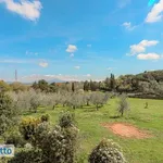 Rent 6 bedroom house of 580 m² in Rome