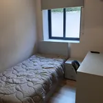 Rent 20 bedroom apartment in Porto