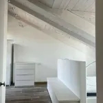 Rent 3 bedroom apartment of 120 m² in Turin