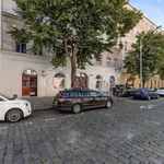 Pronajměte si 3 ložnic/e byt o rozloze 95 m² v Capital City of Prague