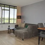 Rent 3 bedroom apartment of 81 m² in Aalderinkshoek Zuidwest