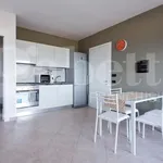 Rent 2 bedroom apartment of 55 m² in Palermo