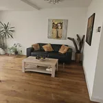 Rent 4 bedroom house of 121 m² in Haarlem