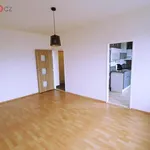 Rent 3 bedroom apartment of 52 m² in Ústí nad Labem