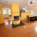 Rent 4 bedroom apartment of 120 m² in Dalovice