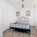 Rent 1 bedroom apartment in Prague