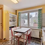 Rent 1 bedroom apartment in Gent