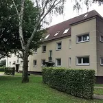 Rent 4 bedroom apartment of 70 m² in Duisburg