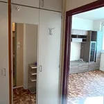 Rent 1 bedroom apartment in Přerov