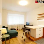 Rent 3 bedroom apartment of 76 m² in Brno