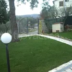 Rent 4 bedroom house of 65 m² in Cortona