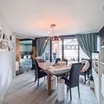 Rent 1 bedroom apartment in Herve