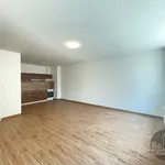 Pronajměte si 2 ložnic/e byt o rozloze 65 m² v Praha