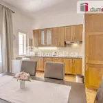 Rent 4 bedroom apartment of 130 m² in Prague