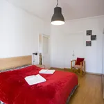 Rent 1 bedroom apartment in Rome