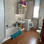 Rent 5 bedroom apartment of 30 m² in Pisa