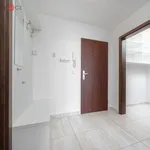 Rent 2 bedroom apartment of 45 m² in Praha