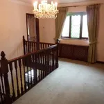 Rent 4 bedroom house in Hillsborough