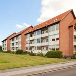 Rent 3 bedroom apartment of 82 m² in Roskilde