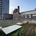 Rent 3 bedroom apartment of 97 m² in Binnenstad