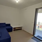 Rent 4 bedroom apartment of 85 m² in Marseille