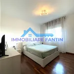 Rent 3 bedroom apartment of 72 m² in Treviso