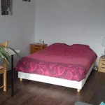 Rent 1 bedroom apartment of 32 m² in Villeurbanne