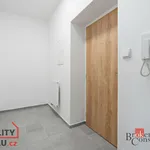 Rent 1 bedroom apartment in Plzeň