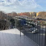 Rent 4 bedroom apartment of 93 m² in Roma