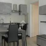 Rent 2 bedroom apartment of 75 m² in Pavia